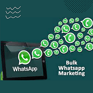 BULK WHTSAPP